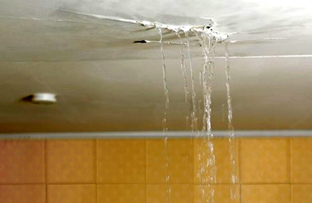 ceilingleak National Home Inspections LLC